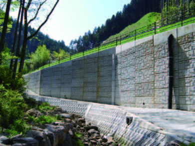 スーパーテールアルメ